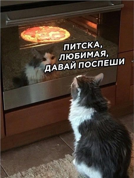 Пи  итска: