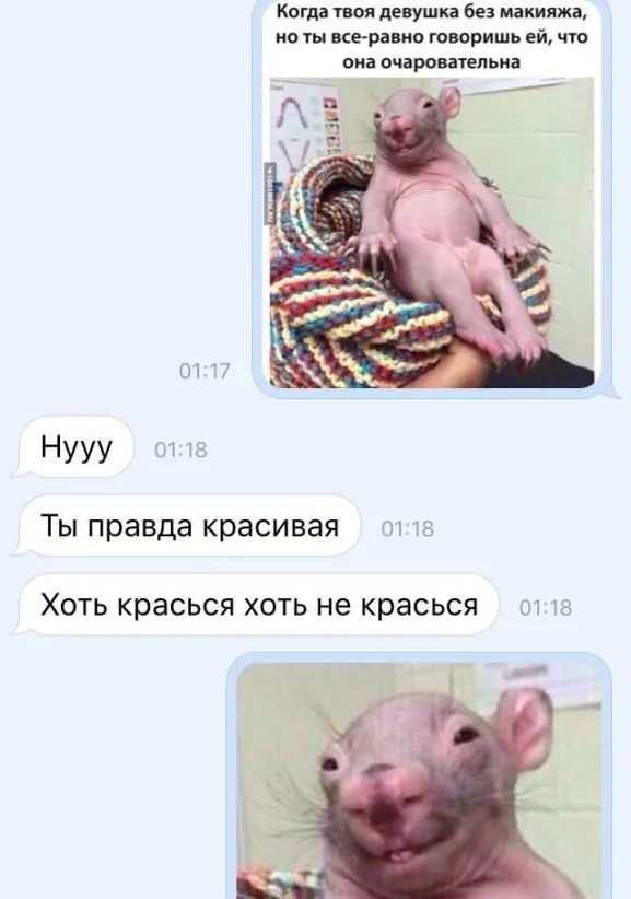 Когда твоя девушка без макияжа но ты все ранка говоришь ей что она очаровауепьиа Нууу Ты правда красивая т 35 ХОТЬ КЮЭСЬСЯ ХОТЬ не красься Ш 8