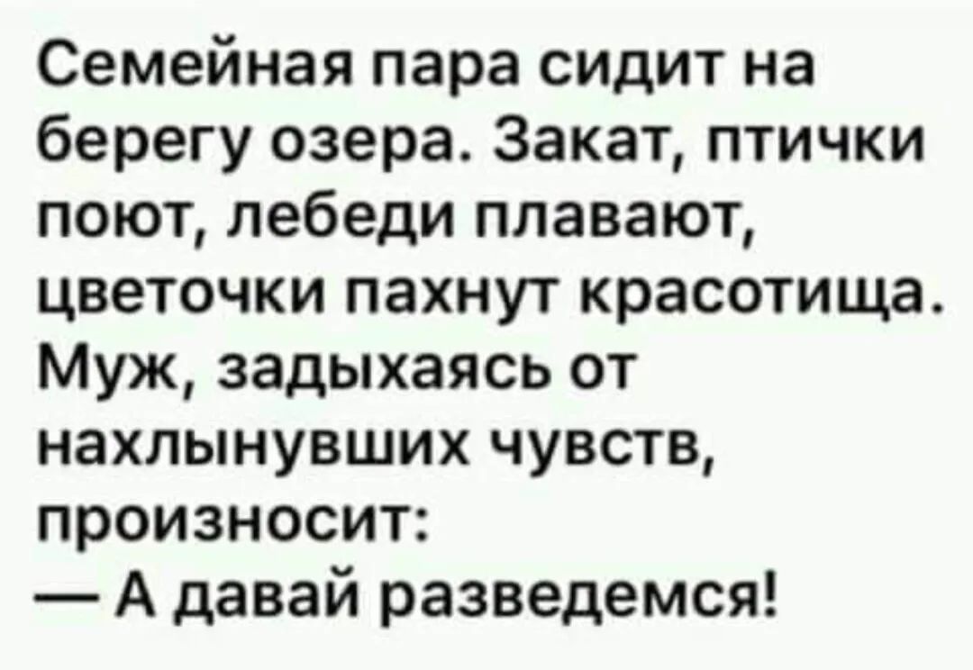 Семейная пара сидит на берегу озера Закат птички поют лебеди плавают цветочки пахнут красотища Муж задыхаясь от нахлынувших чувств произносит А давай разведемся