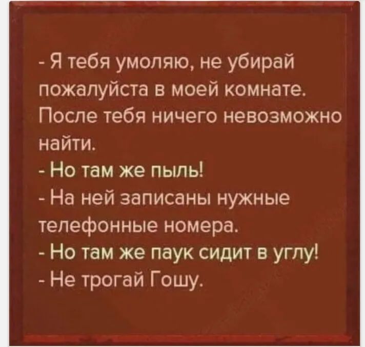 Я тебя умоляю не убирай пожалуйста в моей комнате После тебя ничего невозможно найти Но там же пыль На ней записаны нужные телефонные номера Но там же паук сидит в углу Не трогай Гошу