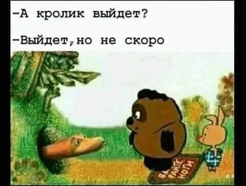 А кролик выйдет Быйдетно не скоро