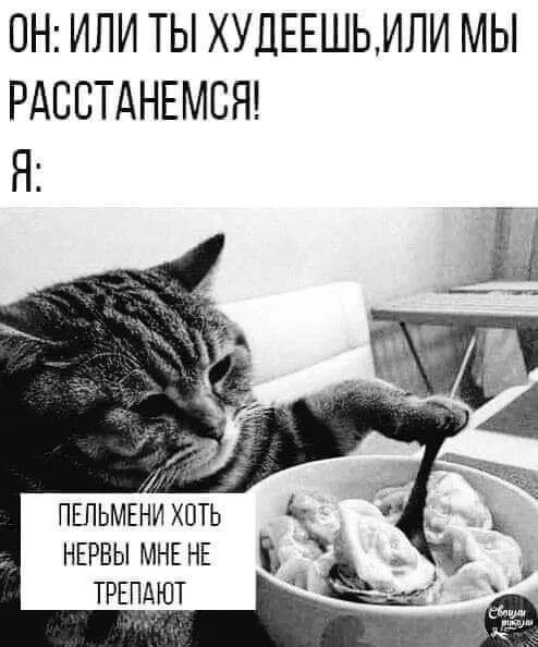 ОН ИЛИ ТЫ ХУДЕЕШЬИЛИ МЫ РАССТАНЕМСЯ Я я ПЕПЬМЕНИ ХОТЬ НЕРВЫ МНЕ НЕ ТРЕПАЮТ
