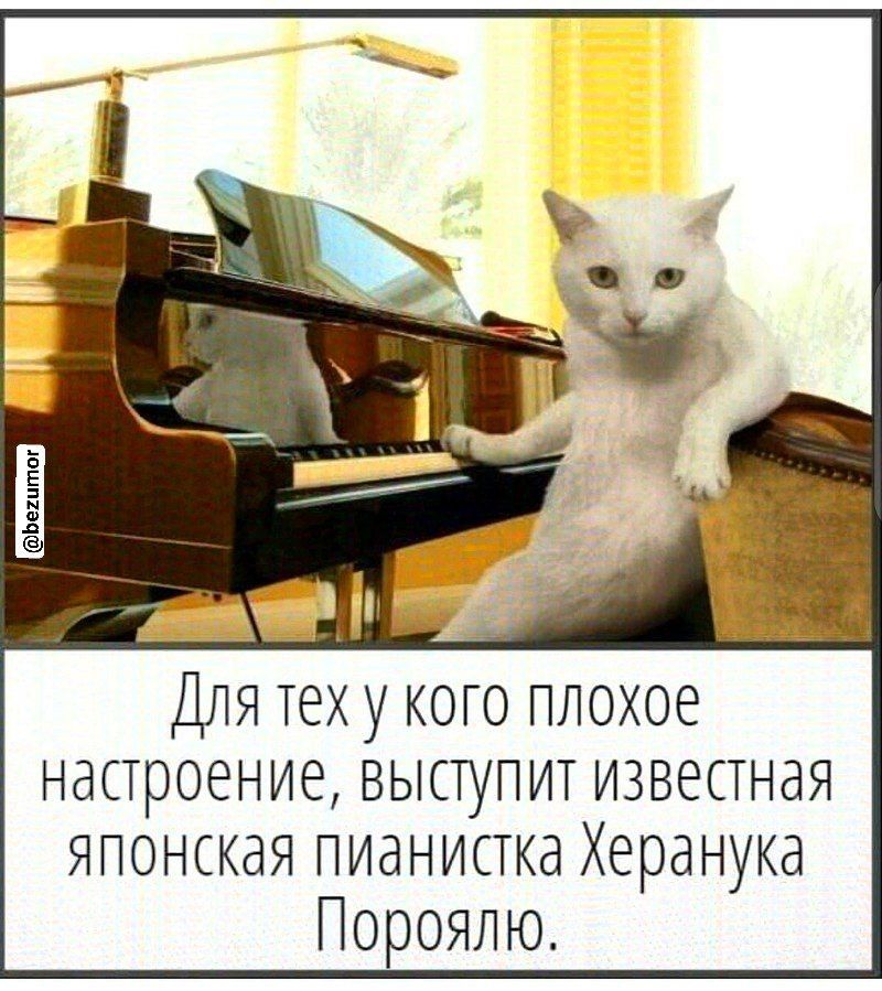 Для тех у кото плохое настроение выступит известная японская пианистка Херанука Пороялю