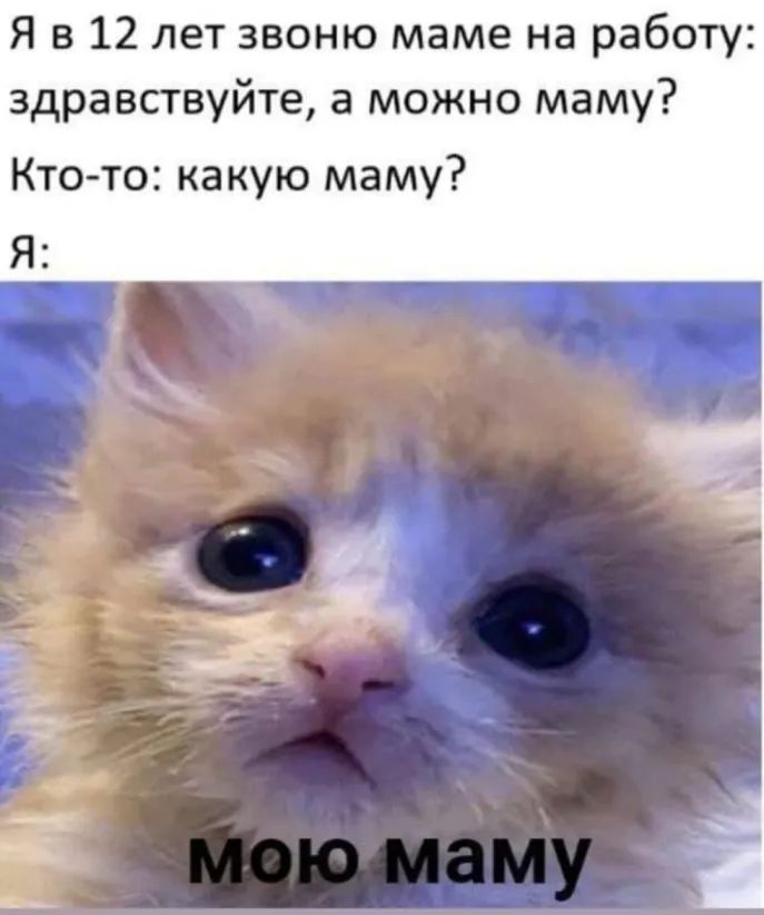 Я в 12 лет звоню маме на работу здравствуйте а можно маму Кто то какую маму