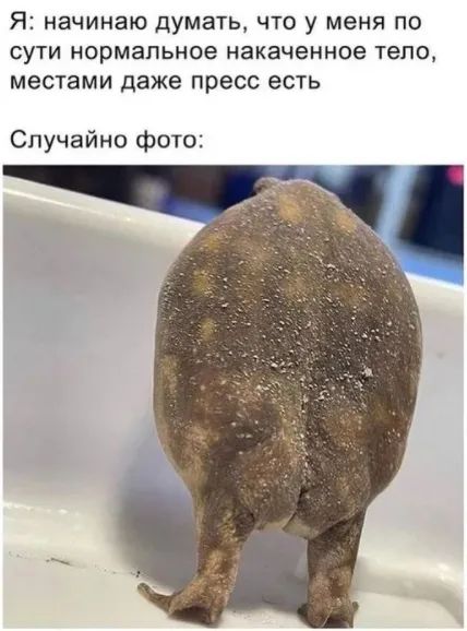 Я НЕЧИНЕЮ думать ЧТО у МЕНЯ ПО СУТИ Нормальное НЭКЭЧЭННОЕ тело местами даже пресс есть Случайно фото