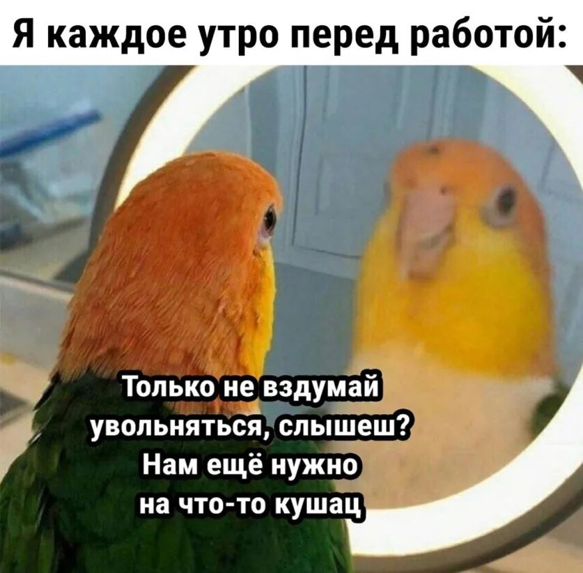 Я каждое утро перед работой Нам ещё нужно на что то куша_ц