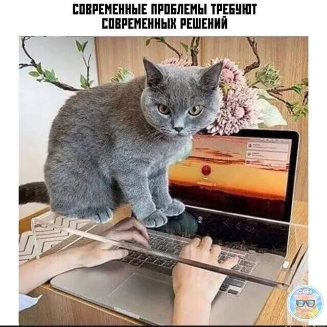 ЕПВРЕМЕИНЫЕ ПРПЕЛЕМЫ ТРЕЕНШТ ЕППРЕНЕИИЬШ РЕШЕНИЙ