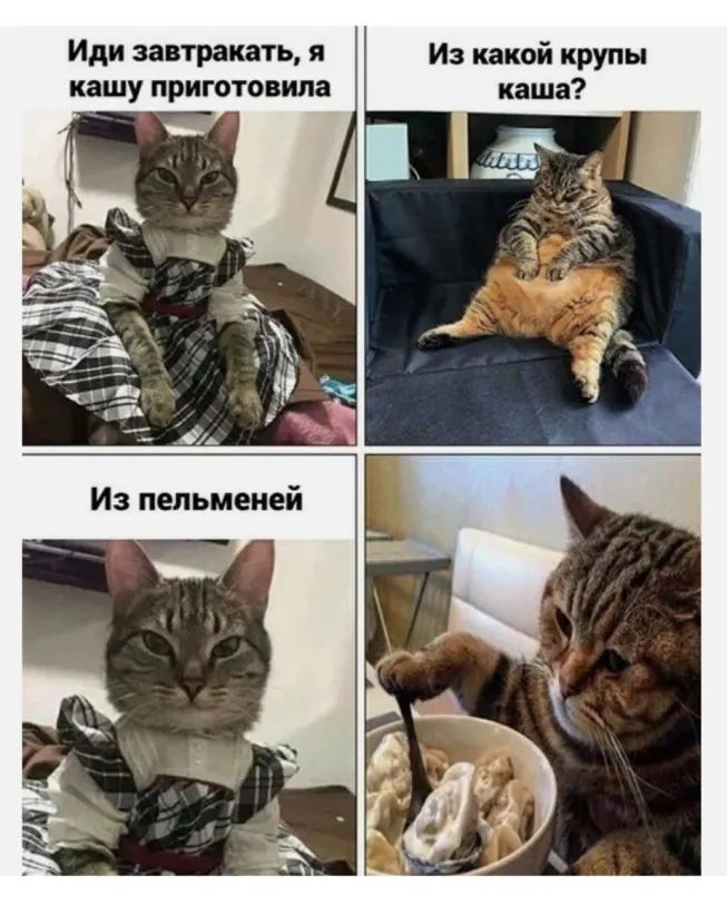 Иди завтракать я Из какой крупы кашу приготовила каша