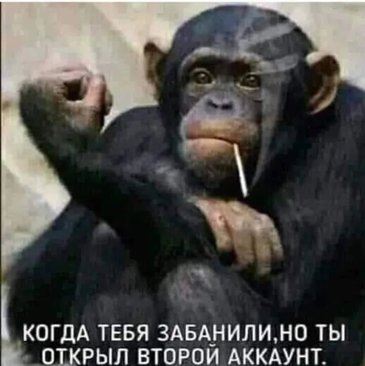 ККОГДА ТЕБЯ ЗАБА_НИЛИНО ТЫ _СПЖРЫЛ ВТОРОИ АККАУНТ