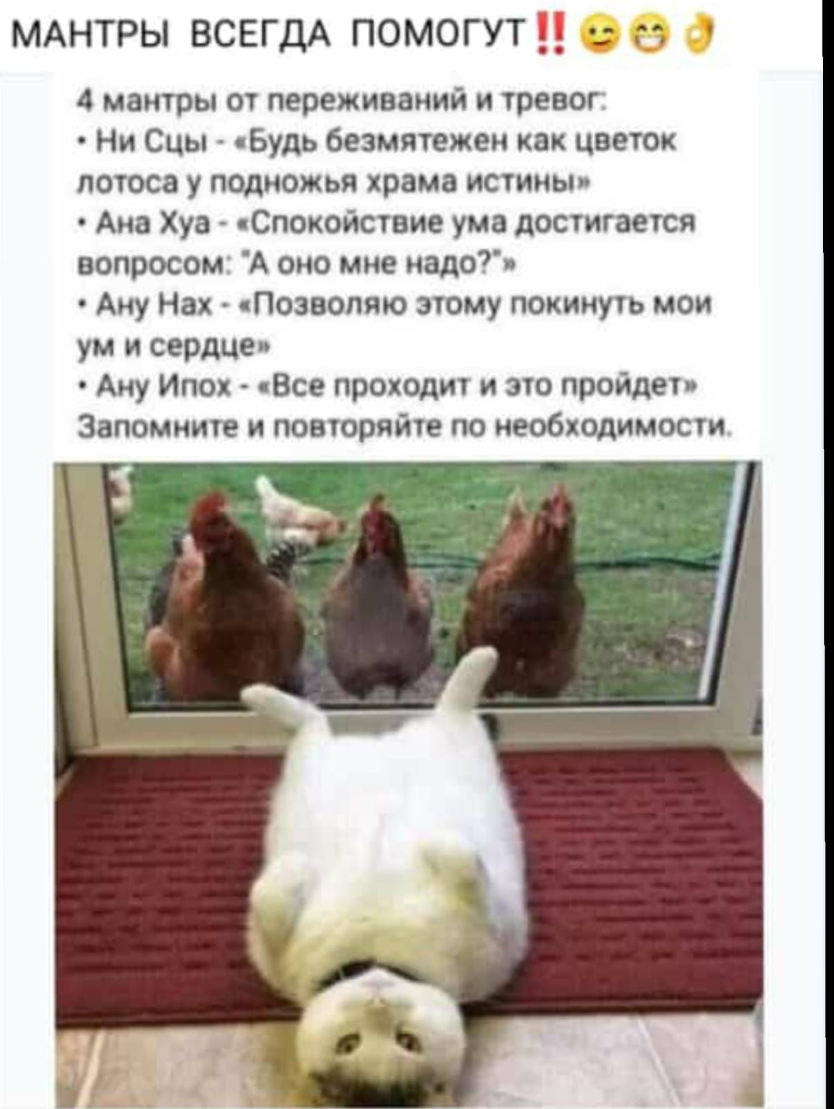 МАНТРЫ ВСЕГДА помогут 4 мантры от переживаний и тревог Ни Сцы Будь безмятежен как цветок потоса у подножья храма истины Ана Хуа сСпокойствие ума достигается вопросом А оно мне надо Ану Нах Позвопяю этому покинуть мои ум и сердце Ану Ипох Все проходит и это пройдет Запомните и повторяйте по необходимости