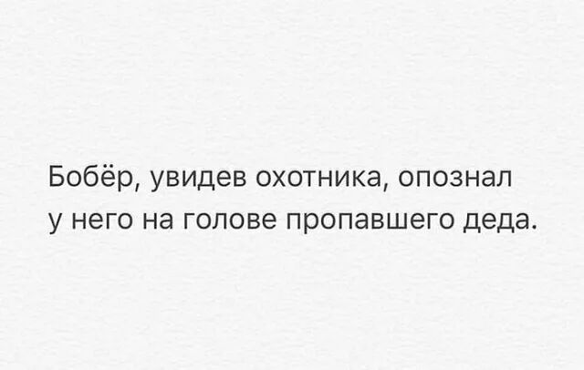 Бобёр увидев охотника опознал у него на голове пропавшего деда