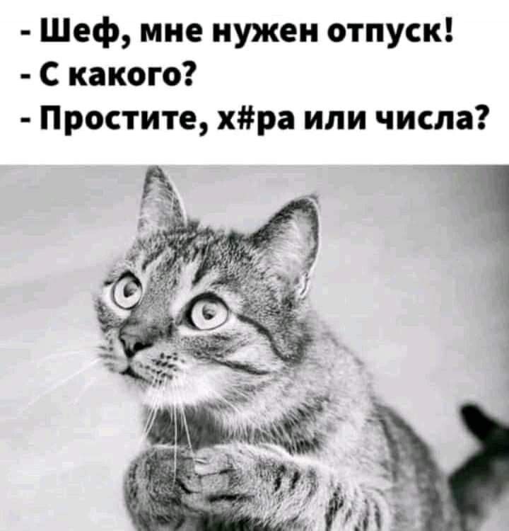 Шеф мне нужен отпуск С какого Простите хра или числа