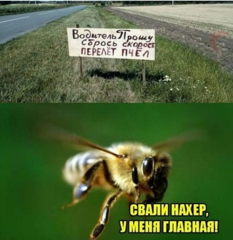 Водитель Сдрось Сай ГЕ Т ВВМ МЕР У МЕНЯ ГЛАВНАЯ
