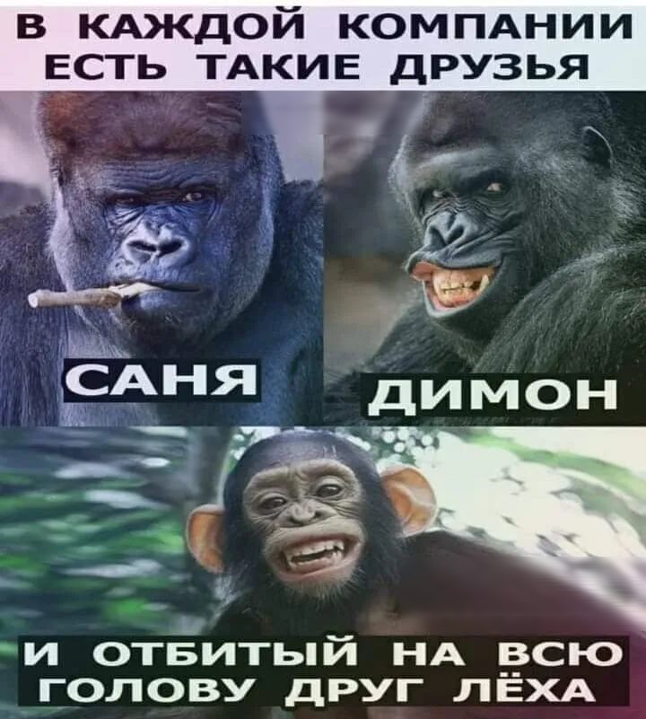 в КАЖДОЙ КОМПАНИИ есть ТАКИЕ друзья Н И ОТБИТЬИ НА _ВСЮ ГОЛОВУ дРУГ ЛЕХА