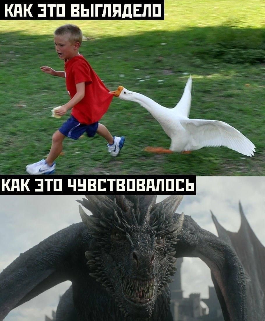 КПК ЗТП ВЫГЛБШЁП о _ КПК ЗТП ЧНВЕТВПВНЛПЕЬ _г