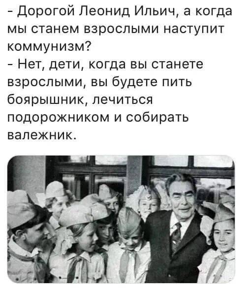 Дорогой Леонид Ильич а когда мы станем взрослыми наступит коммунизм Нет дети когда вы станете взрослыми вы будете пить боярышник лечиться подорожником и собирать валежник