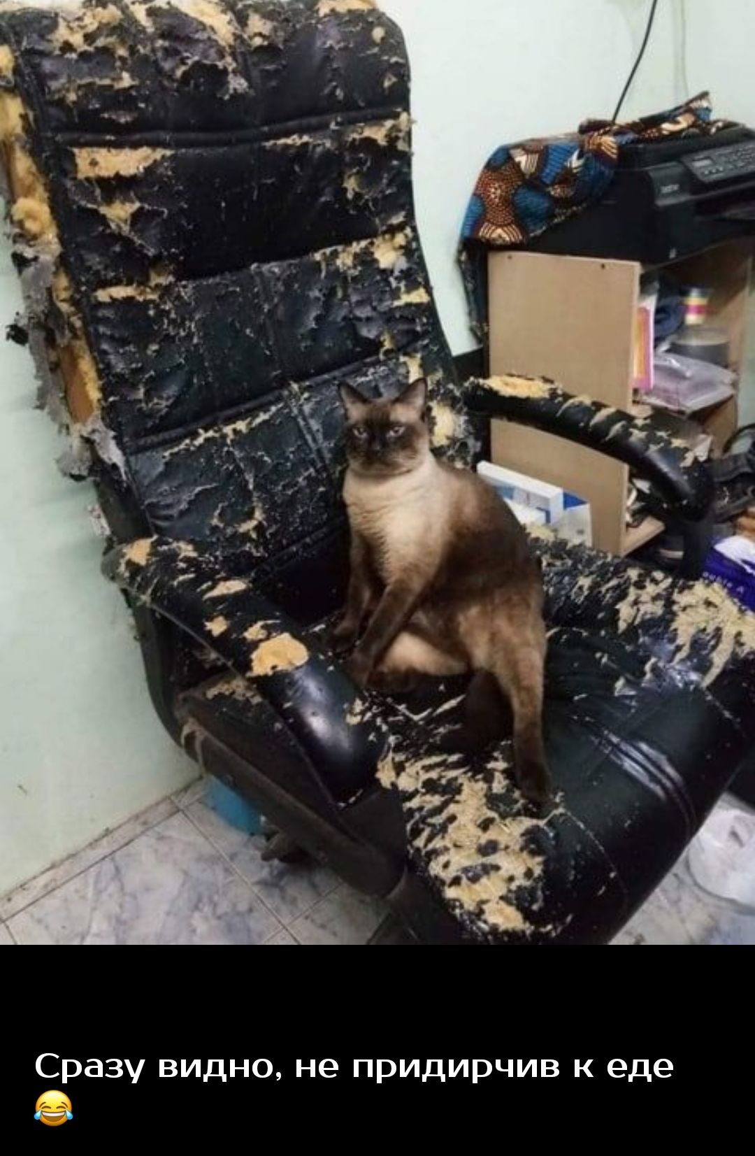 Сразу видно, не придирчив к еде