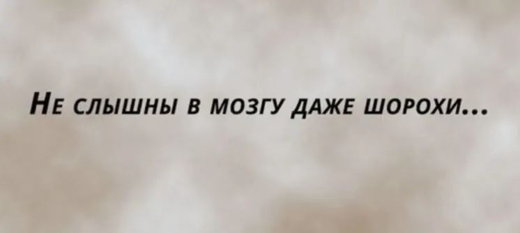НЕ СЛЫШНЫ В МОЗГУ ДАЖЕ ШОРОХИ
