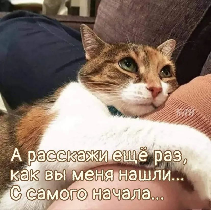 ка вы меня нашли С самэгэ чалз