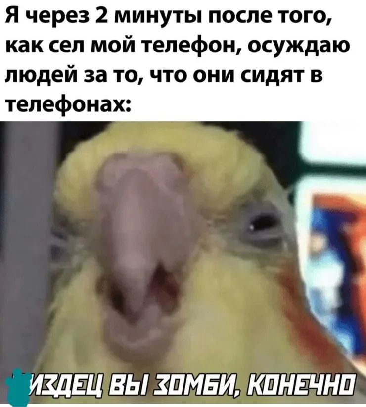 Я через 2 минуты после того как сел мой телефон осуждаю людей за то что они сидят в телефонах ИШЕЦ ВЫ ЗПМЕИ КПНЕЧНП