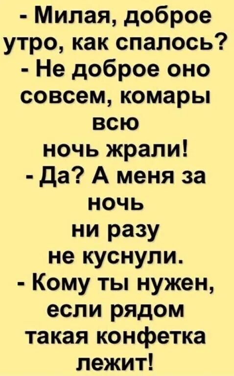 Милая доброе утро как спалось Не доброе оно совсем комары всю ночь жрали да А меня за ночь ни разу не куснули Кому ты нужен если рядом такая конфетка лежит