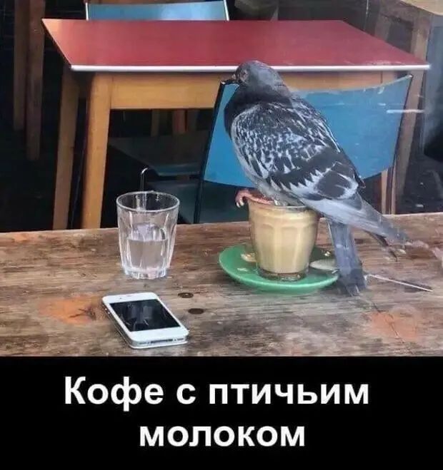 Кофе с птичьим молоком