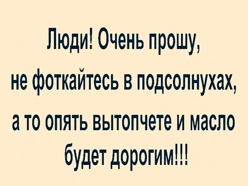 Люди Очень прошу не фоткайтесь в подсолнухах ато опять вытопчете и масло будет дорогим