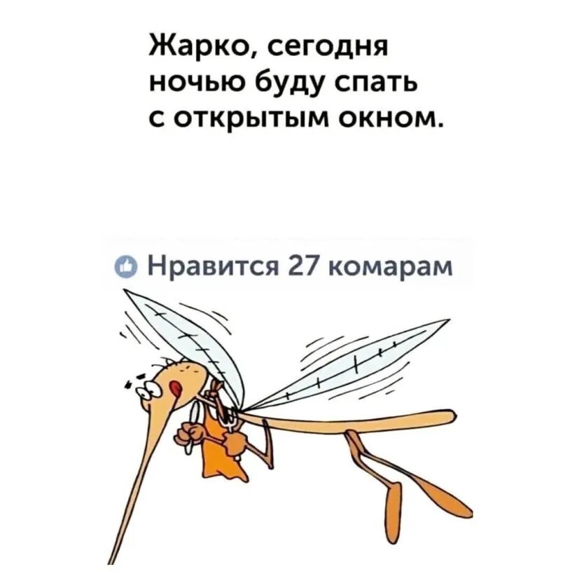 Жарко сегодня ночью буду спать с открытым окном О Нравится 27 комарам