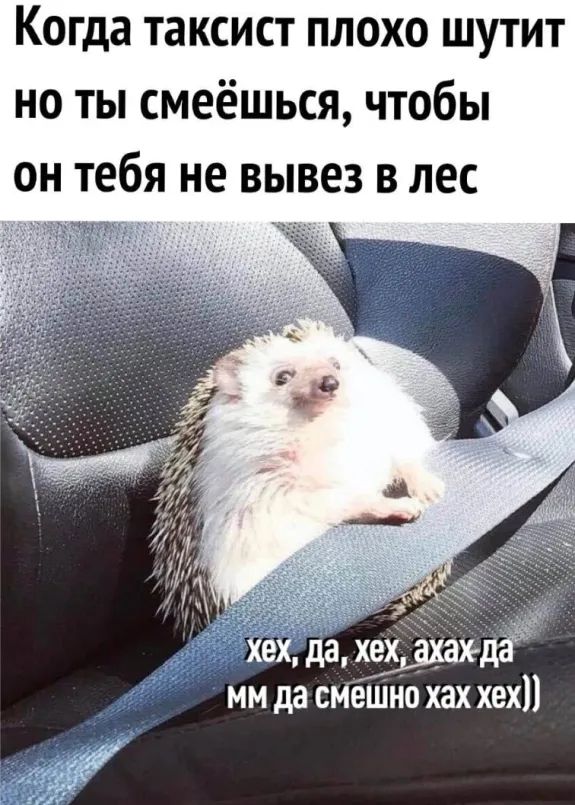 Когда таксист плохо шутит но ты смеёшься чтобы он тебя не вывез в лес ам мм да смеШно хах хех