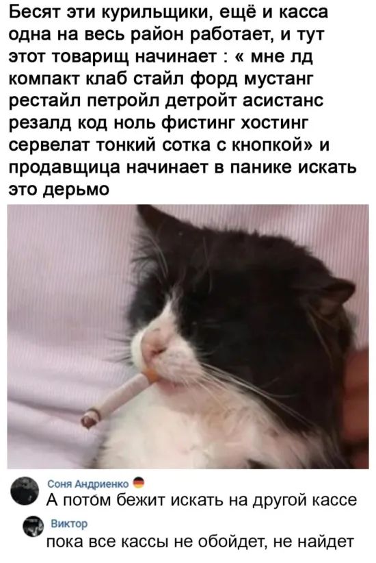Бесят эти курильщики ещё и касса одна на весь район работает и тут этот товарищ начинает мне пд компакт клаб стайл форд мустанг рестайл петройл детройт асистанс резалд код ноль фистинг хостинг сервепат тонкий сотка с кнопкой и продавщица начинает в панике искать это дерьмо Соня Андриенко А потом бежит искать на другой кассе Виктор пока все кассы не обойдет не найдет