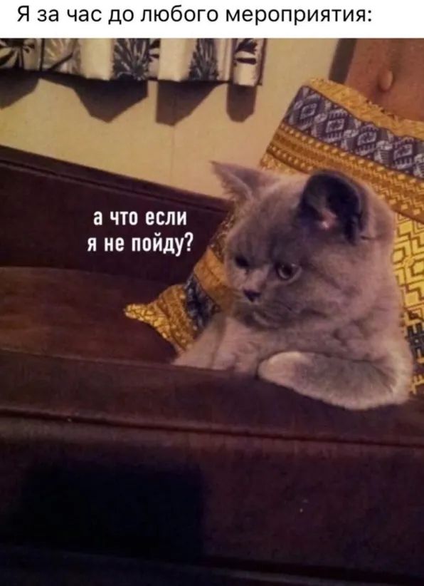 Я за час до любого мероприятия а что если я не пойду