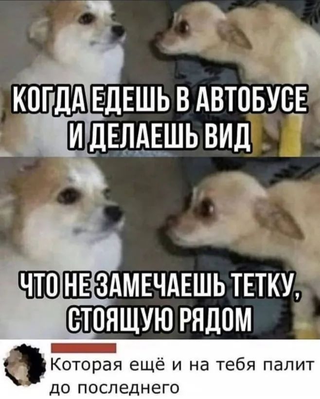 КОГДА ЕДЕШЬ В АВТОБУ БЕ ЧШЁЗАМЕЧАЕШЬ ТЕТКУ стпящую РЯДОМ Которая ещё и на тебя палит ДО ПОСЛЕДНЗГО
