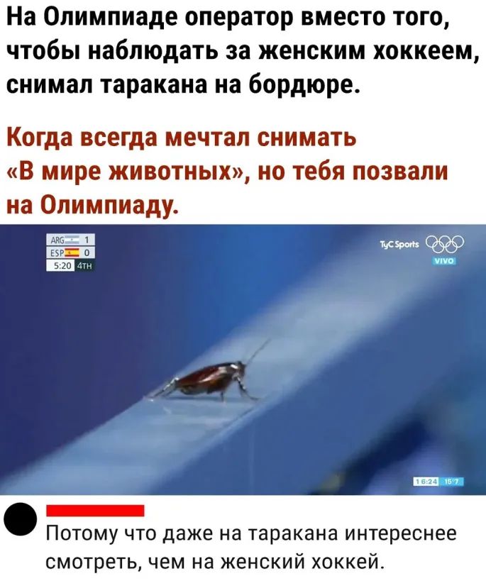 На Олимпиаде оператор вместо того ЧТОбЫ наблюдать за женским хоккеем снимал таракана на бордюре Когда всегда мечтал снимать В мире животных но тебя позвали на Олимпиаду _ _ _ ПОТОМУ ЧТО даже на таракана интереснее смотреть чем на женский хоккей