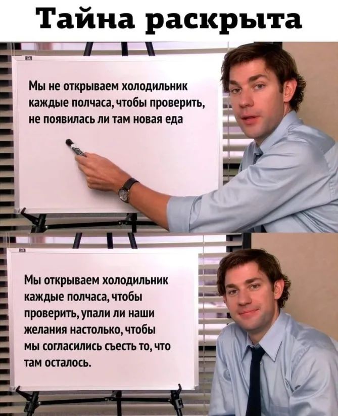 Тайна раскрыта мы НЕ открываем ХОЛОДИЛЬНИК каждые полчаса чтобы проверить не появилась ЛИ там новая еда _ Е Мы открываем холодильник каждые полчаса чтобы проверитьупали ли наши желания настолько чтобы мы согласились съесть то что там осталось