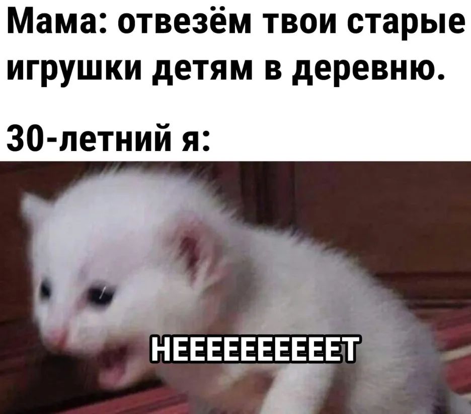 Мама отвезём твои старые игрушки детям в деревню 30 летний я 3 НЕЕЕЁЕЕЙЕЕЕЕТ