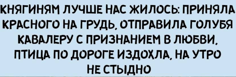 княгиням лучше НАС жилось ПРИНЯЛА КРАСНОГО НА грудь отпмвилд голувя КАВАЛЕРУ с ПРИЗНАНИЕМ в ЛЮБВИ птицд по дороге И3д0ХЛА нд утро нв стыдН9