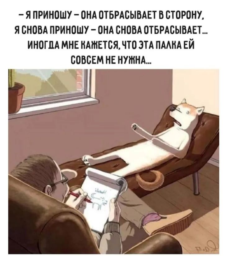 Я ПРИНОШУ ОНА ОТБРАОЫБАЕТ В СТОРОНУ Я СНОВА ПРИНОШУ ОНА ОНОБА ОТБРАОЫБАЕТ ИНОГДА МНЕ НАШЕТОЯ ЧТО ЭТА ПААНА ЕЙ ООВОЕМ НЕ НУЖНА