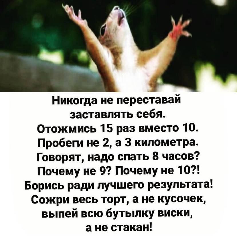 Никогда не переставай заставлять себя Отожмись 15 раз вместо 10 Пробеги не 2 а 3 километра Говорят надо спать 8 часов Почему не 9 Почему не 10 Борись ради лучшего результата Сожри весь торт а не кусочек выпей всю бутылку виски а не стакан