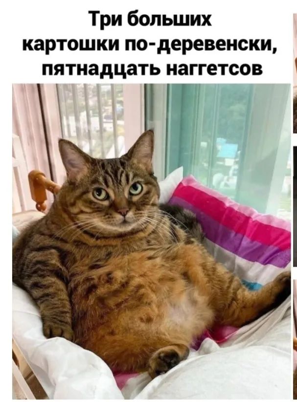 Три больших картошки по деревенски пятнадцать наггетсов