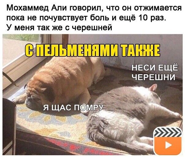 Мохаммед Али говорил что он отжимается пока не почувствует боль и ещё 10 раз У меня так же с черешней НЕСИ ЕЩЁ ЧЕРЕШНИ