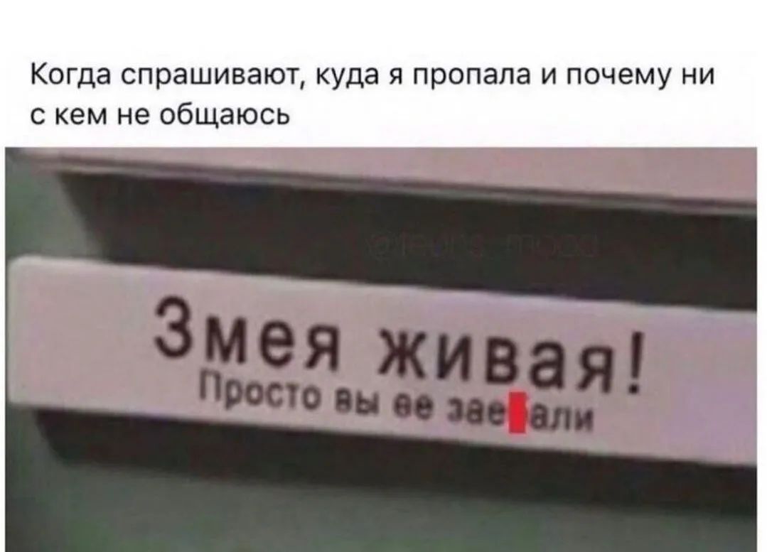 Когда спрашивают куда я пропала и почему ни с кем не общаюсь