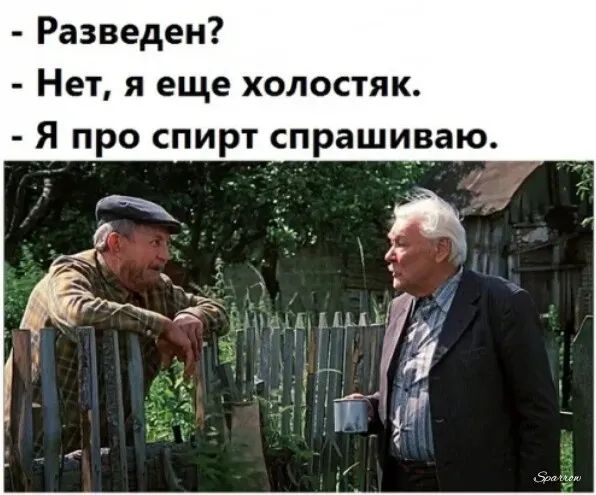 Разведен Нет я еще холостяк Я про спирт спрашиваю