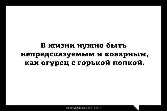 В жизни нужно быть непредсказуемым И КОВЗРНЬЕМ как огурец горькой попкой