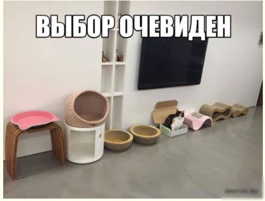 Чочввидвн