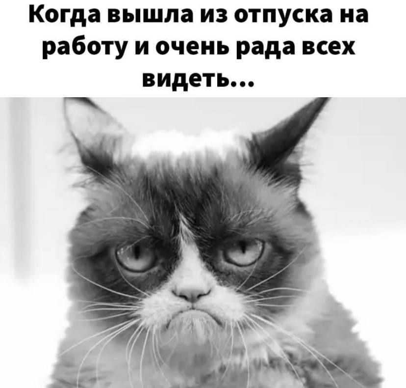 Когда вышла из отпуска на работу и очень рада всех видеть
