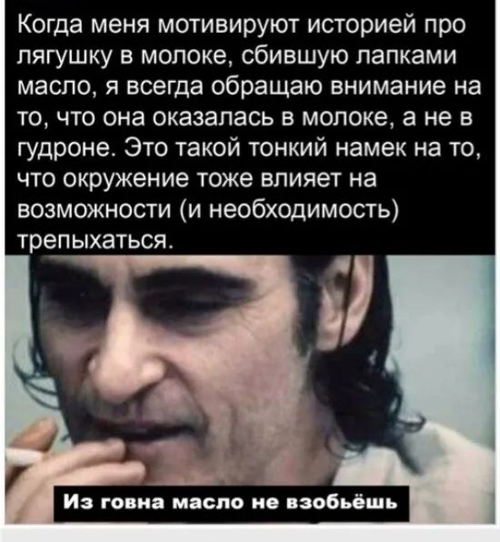 Когда меня мотивируют историей про лягушку в молоке сбившую лапками масло я всегда обращаю внимание на то что она оказалась в молоке а не в гудроне Это такой тонкий намек на то что окружение тоже влияет на возможности и необходимость трепыхаться И говна мяспо и взобьёшь