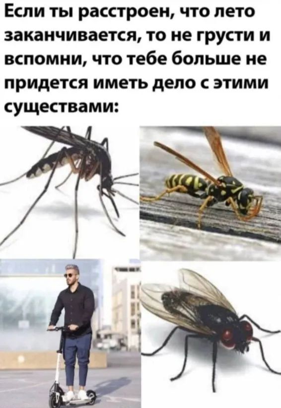 Если ты расстроен что лето заканчивается то не грусти и вспомни что тебе больше не ПРИДЕТСЯ ИМЕТЬ депо С ЭТИМИ существами