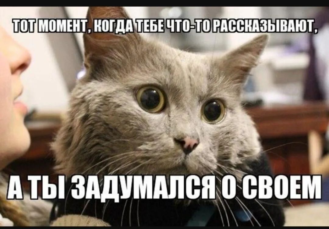 ШШ МВМШТ НВРДПТЕБЕРПВВЩЗЬВДЮТ дТЫ ЗАДУШШВП о ВВПЕМ _ ыдйщіц _