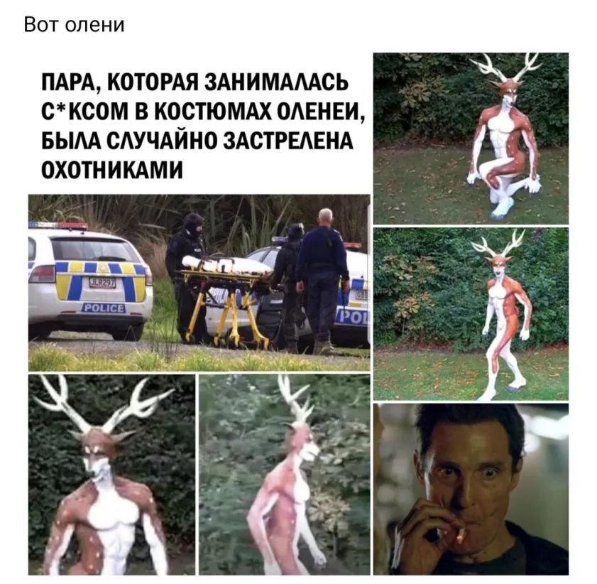Вот олени ПАРА КОТОРАЯ ЗАНИМАААСЬ С КСОМ В К0_СТЮМАХ ОАЕНЕИ БЫАА САУЧАИНО ЗАСТРЕАЕНА ОХОТН ИКАМИ