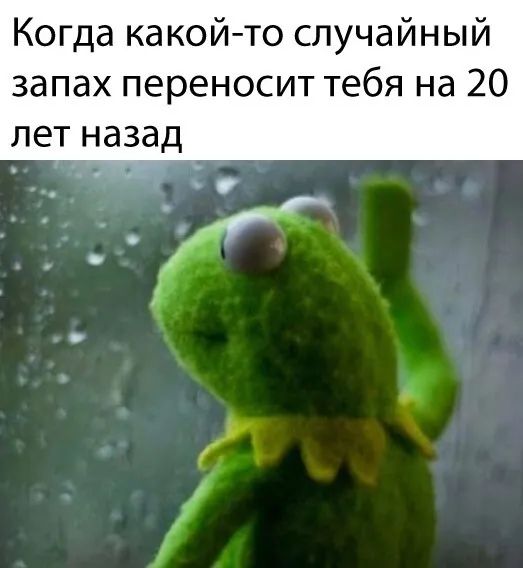 Когда какой то случайный запах переносит тебя на 20 лет назад